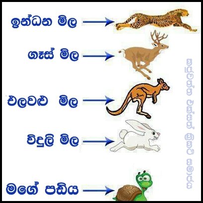 Pictures.lk: Sinhala funny facebook images