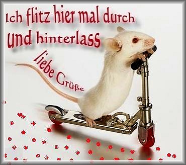 Merci´s Bilderseite Die Arbeitswoche.