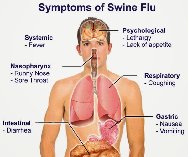  Swine flu Homeopathic Preventive Medicine Available at Our Chennai Clinic  Homoeopathy for flu like illnesses 