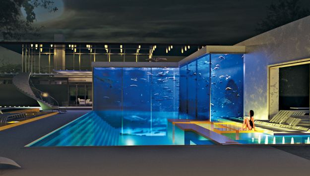 Piscina con Acuario Incorporado | Ideas para decorar, diseñar y mejorar