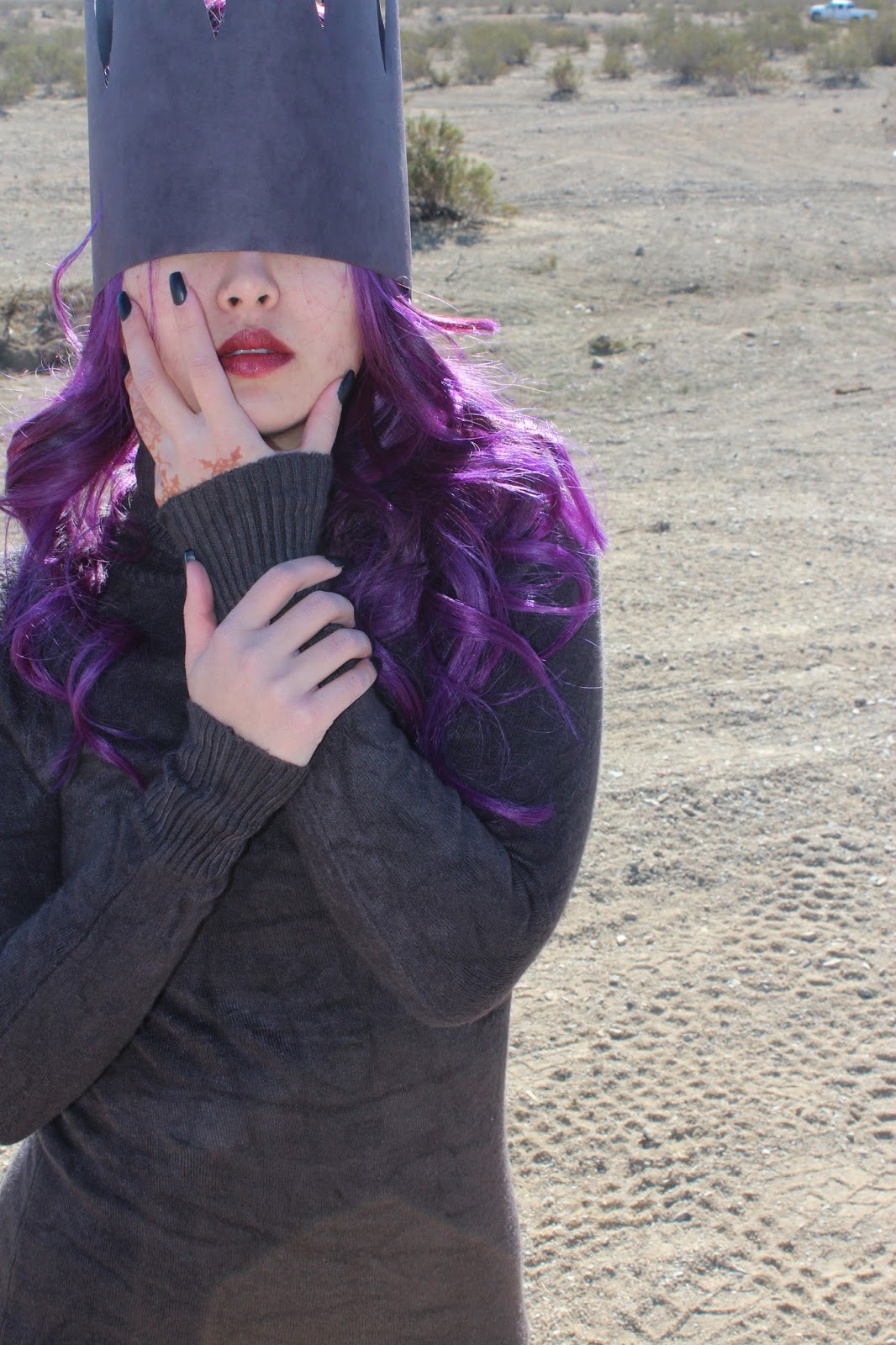 Brittniss H A I R Manic Panic Purple Haze Review