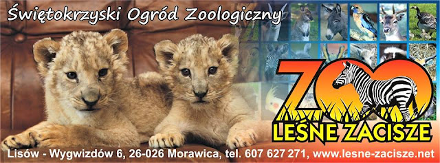 Zapraszamy do ZOO pod Kielcami