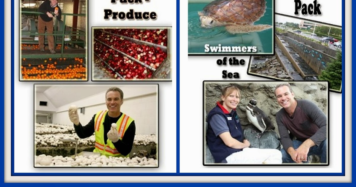 Adventures with Jude Curiosity Quest (A Schoolhouse Crew Review)