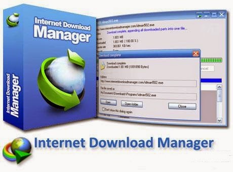 IDM Internet Download Manager 6.23 Build 3 Crack Download