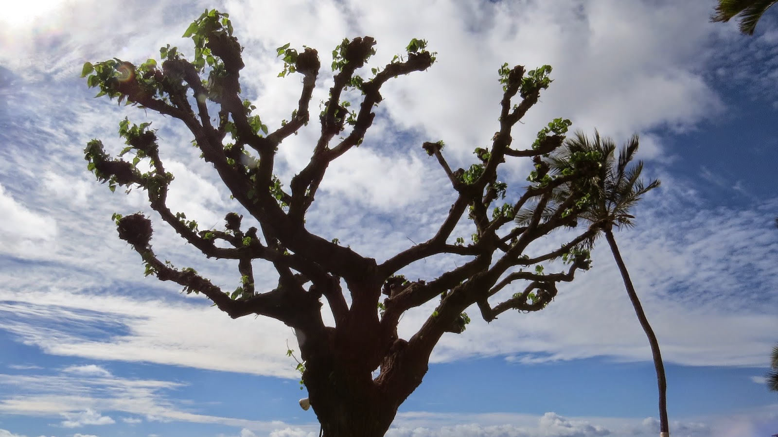 World Wide Waftage Wafting Through Our World Wide Travels with Ease