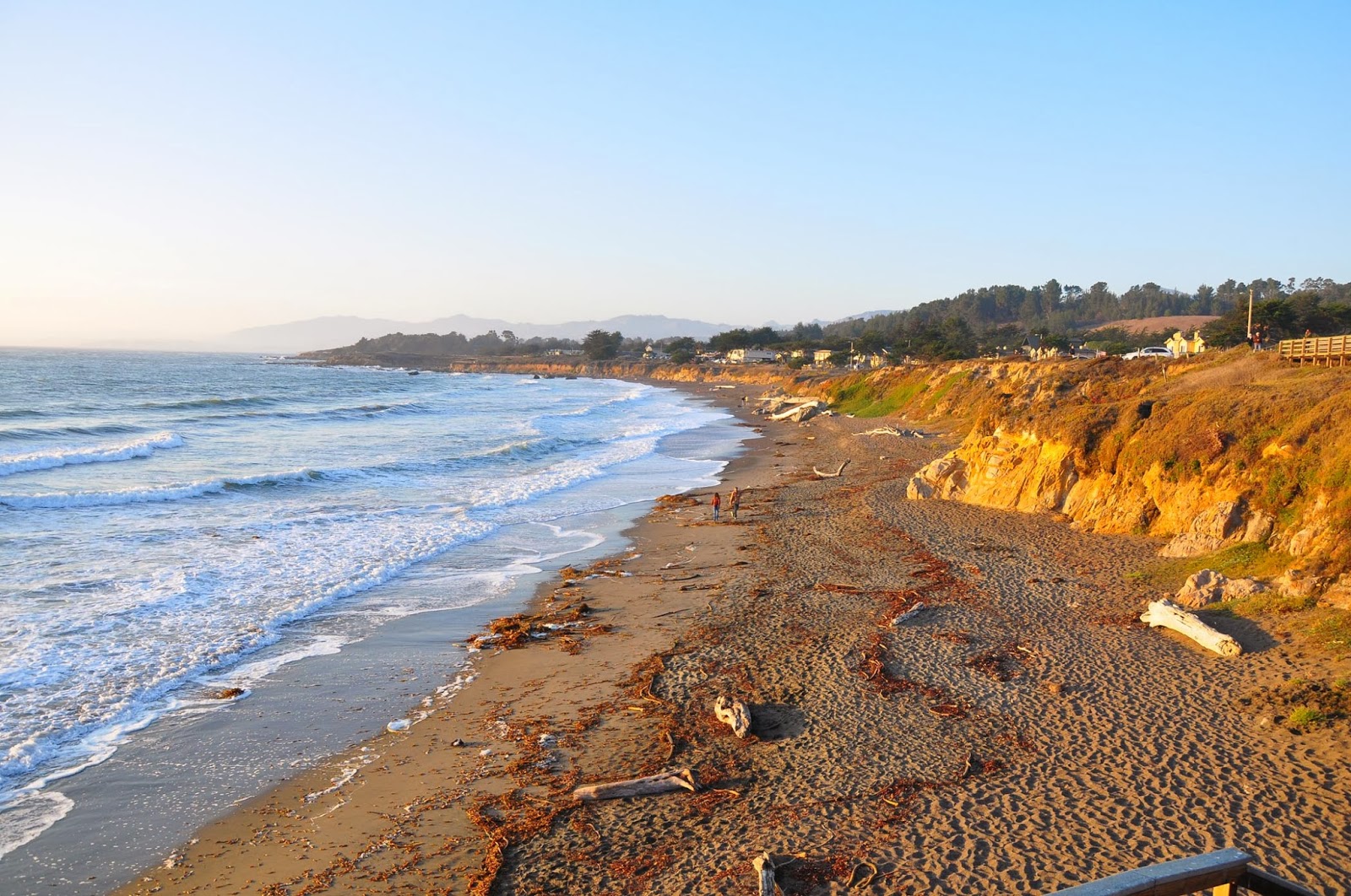 Art and Entertain me Halloween in Cambria