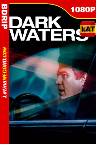 El precio de la verdad: Dark Waters (2019) Latino HD BDRip 1080P (2019)