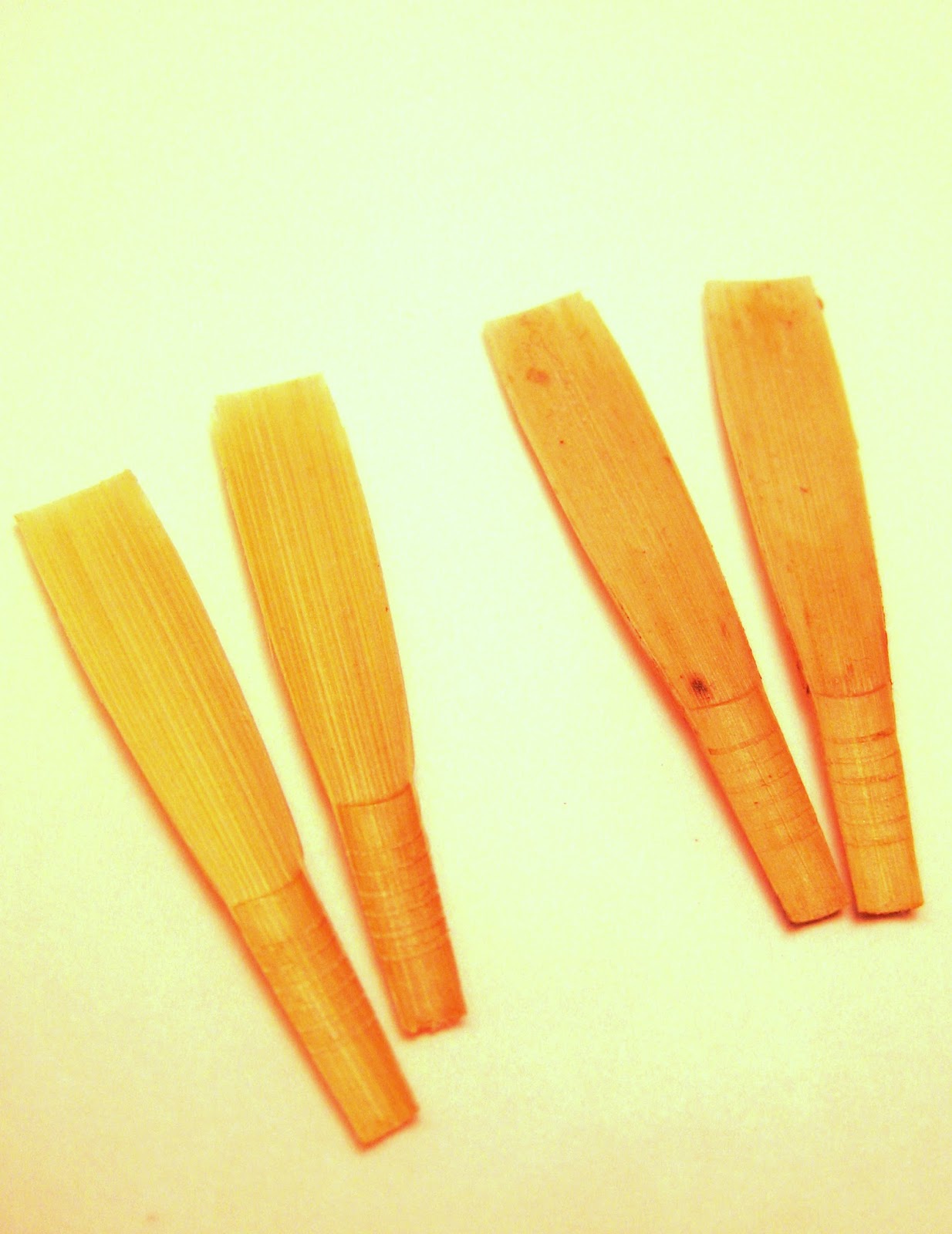 If a Duck were a Songbird... Why you NEED an oboe reed case