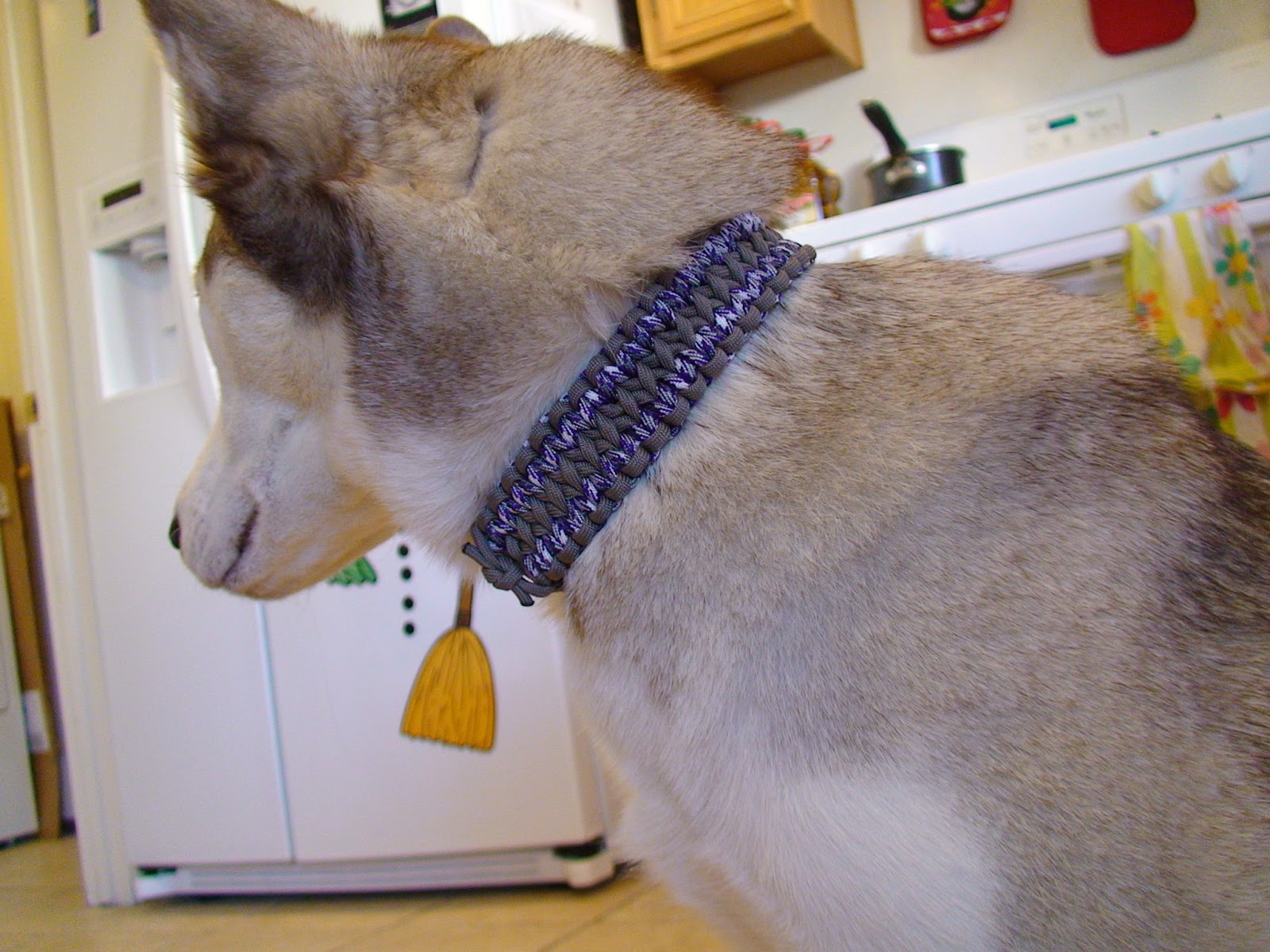 The Super Awesome Blog of Dogventuring Homemade Paracord Dog Collars