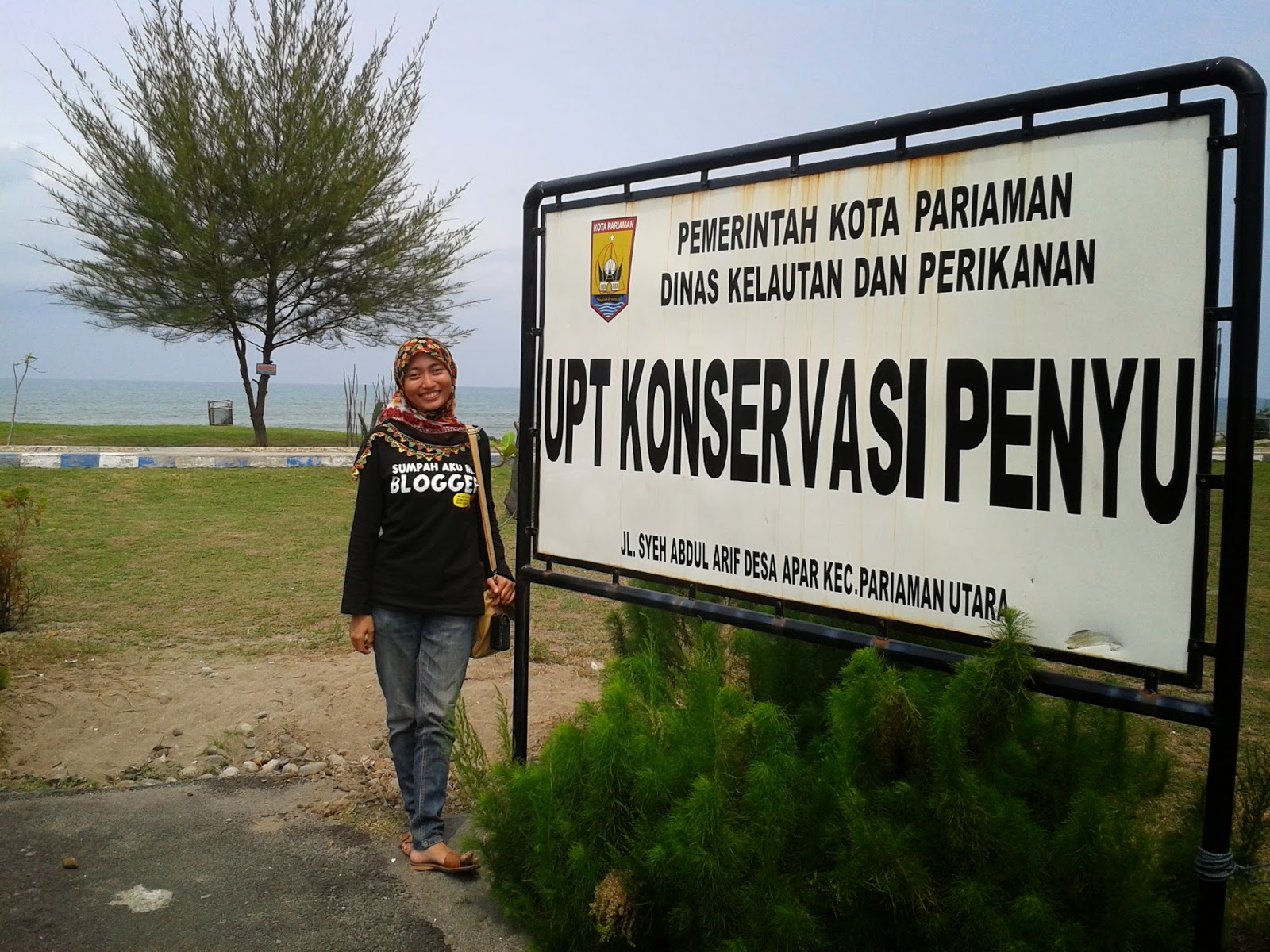 penangkaran penyu