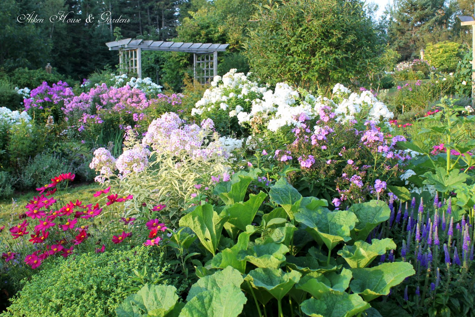 Aiken House & Gardens Touring the Late August Garden