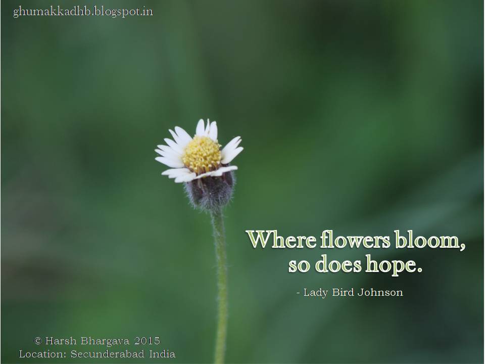 Ghumakkad Harsh Where flowers bloom so does Hope