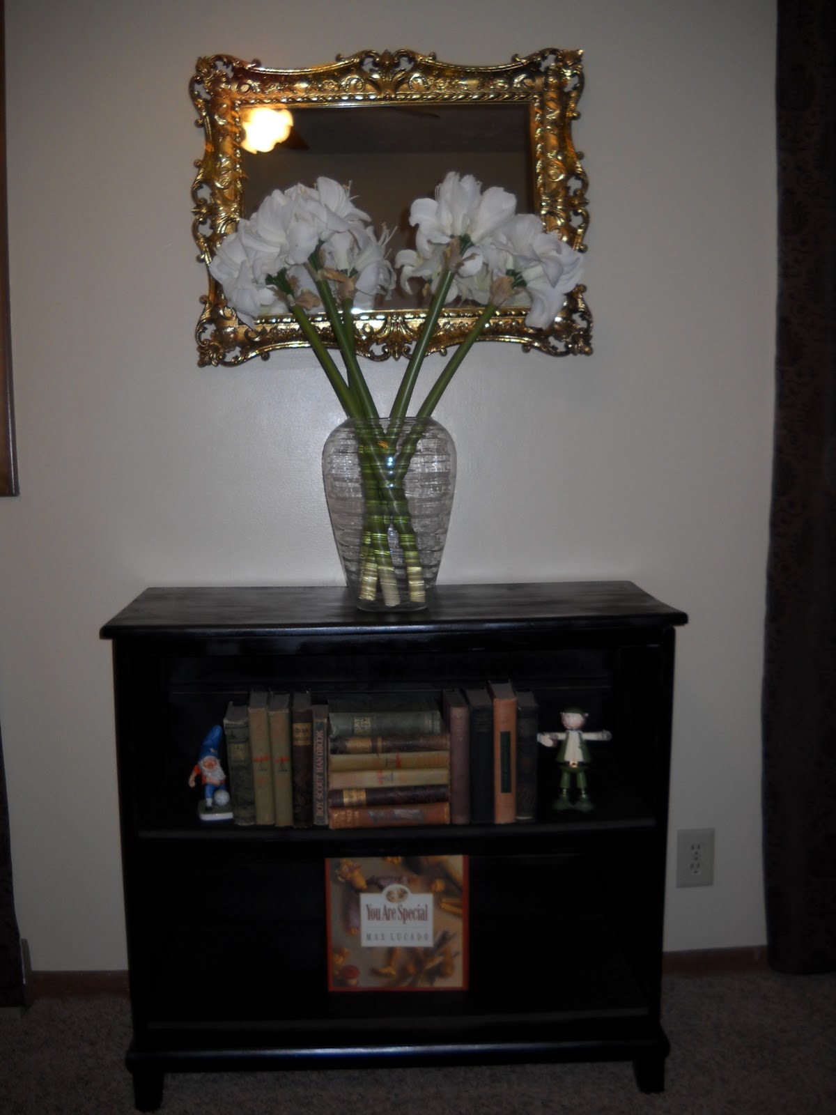 Mrs. Faircloth Dresser turned bookcase