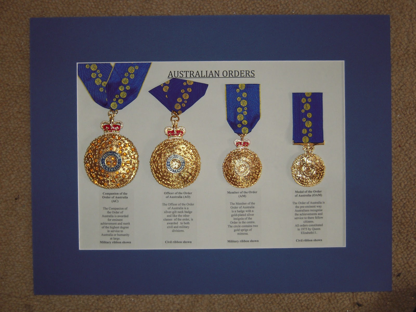 Damien Codognotto OAM CONGRATULATIONS 1