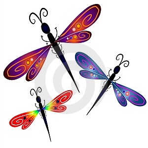 Dragonfly Graphics