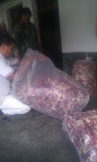 Размещенное изображение