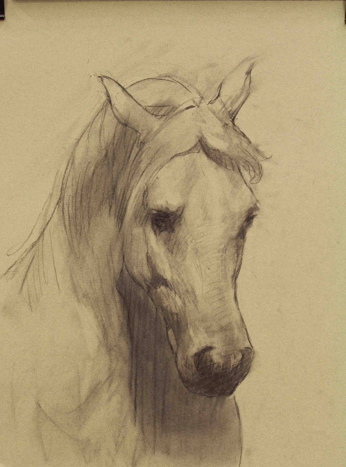 Como desenhar um cavalo passo a passo realista - Como desenhar
