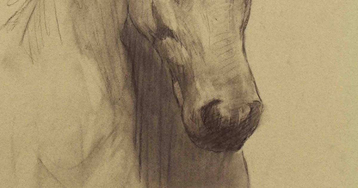 Arte Realista de Takiguthi: Desenho de cavalo em carvão executado