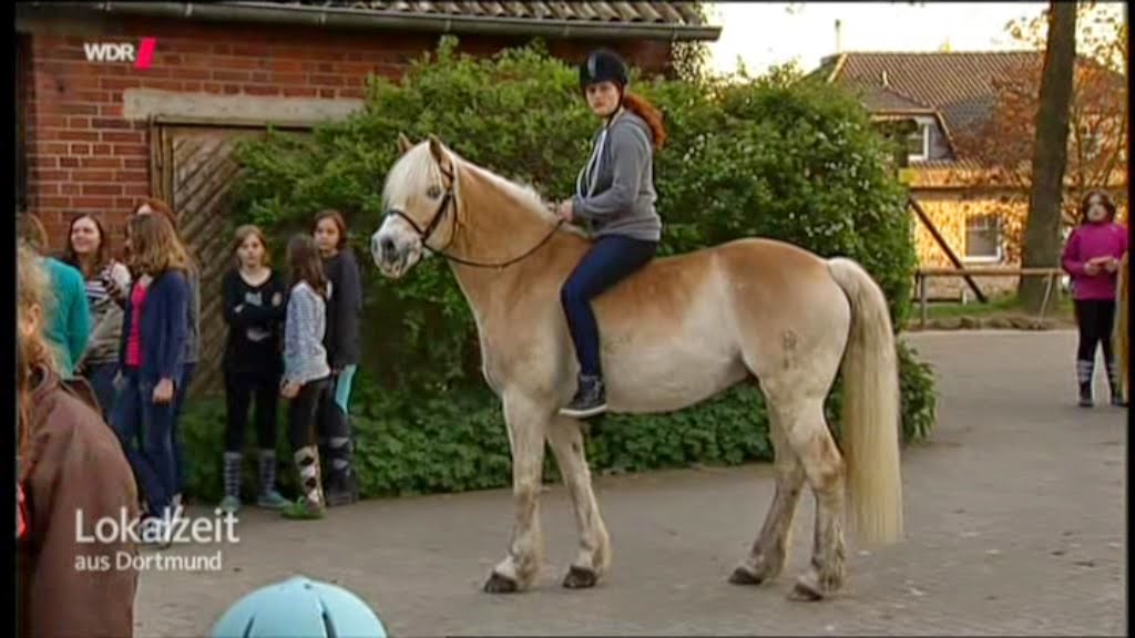 Familienausfluge Mit Kindern Im Allgau Ausflug Zum
