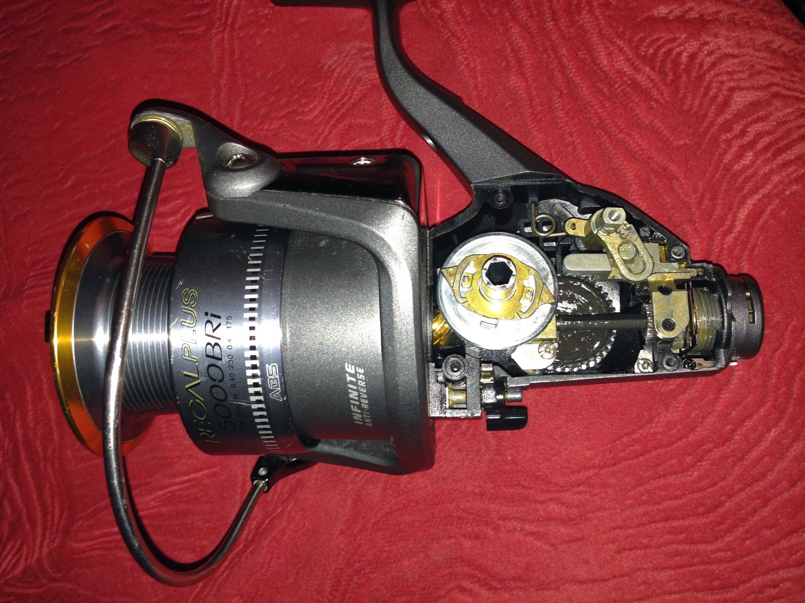 daiwa regal plus 5000 bri