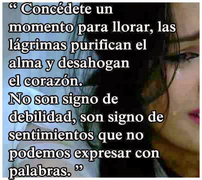 Resultado de imagen de reflexiones sobre las lágrimas