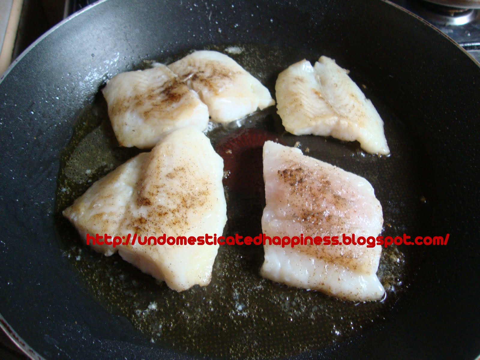 Undomesticated Happiness Fish Fillet with Cheese Sauce