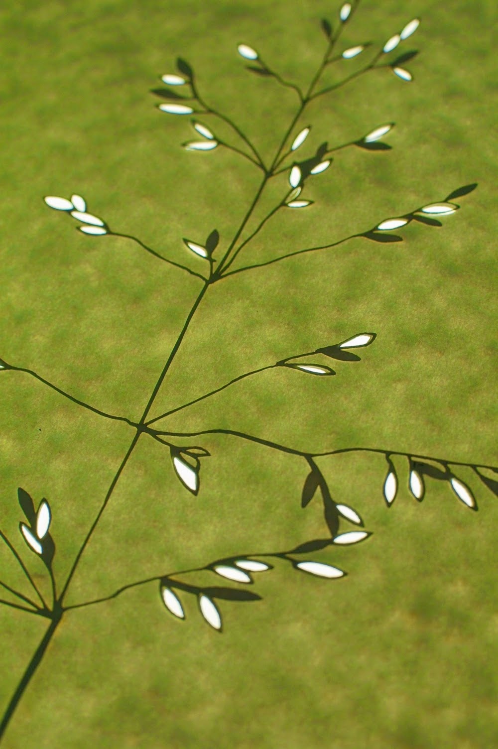 Hannah Nunn Paper Grasses