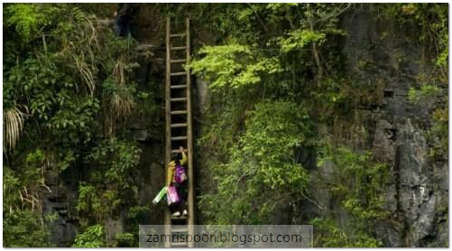 Image Result For Anak Smp Ngentot Di Tangga Sekolah Image Result For Anak Smp Ngentot Di Tangga Sekolah