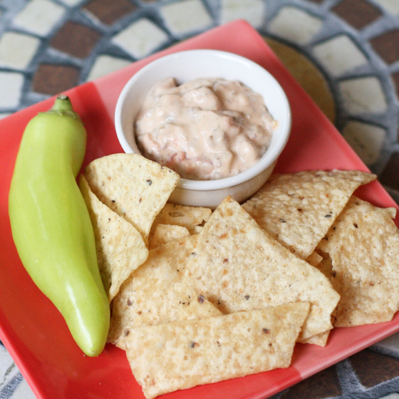 Sweet Basil 'n Spice VelveetaFree Rotel Cheese Dip