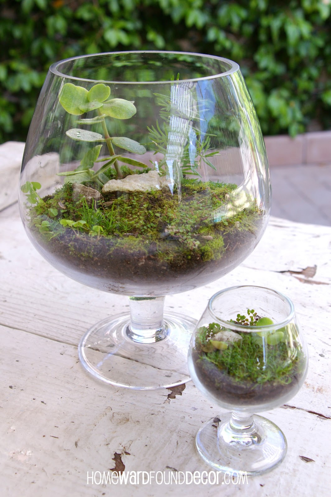 How to Make a FREE Moss Terrarium homewardFOUND decor