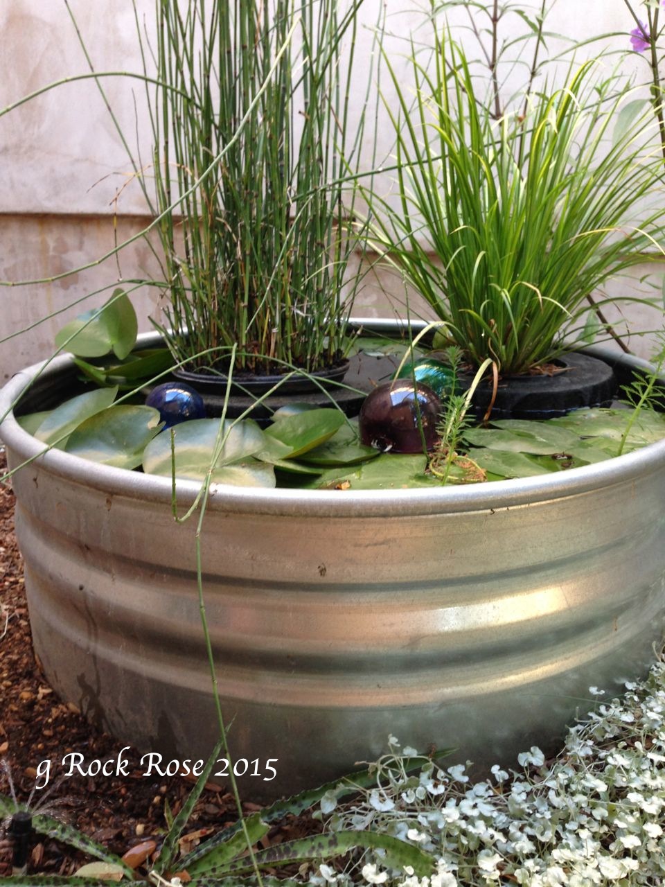 ROCK ROSE DO YOU WANT TO MAKE A FLOATING PLANTER FOR YOUR POND?