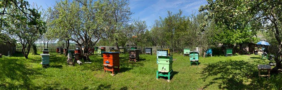 Все пасеки 