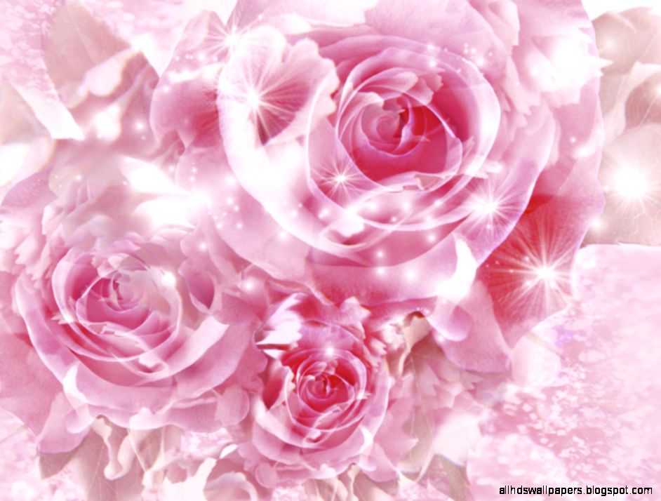 Pink roses pictures download Pink Wallpaper Designs Pink roses pictures download Pink Wallpaper Designs