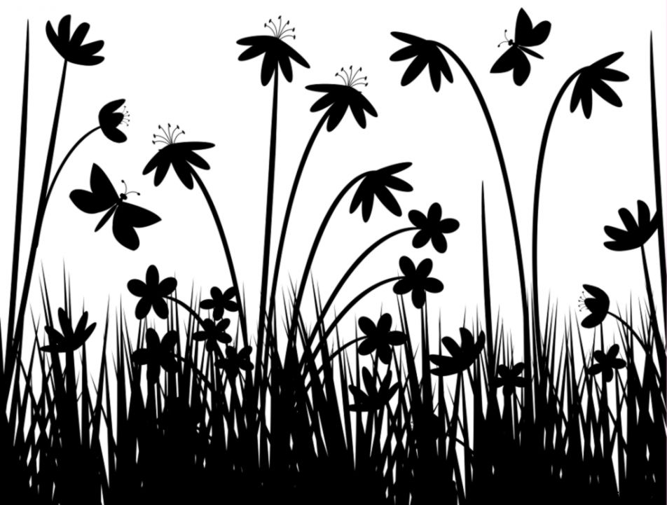 44 White And Black Android Compatible Wallpapers 44 White And Black Android Compatible Wallpapers