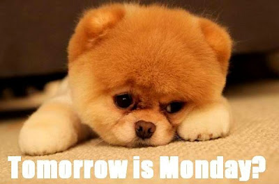 Tomorrow is Monday?