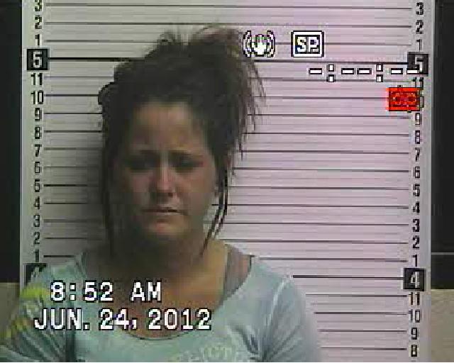 Here is a selection of Jenelle Evans' mugshots for comparison. 