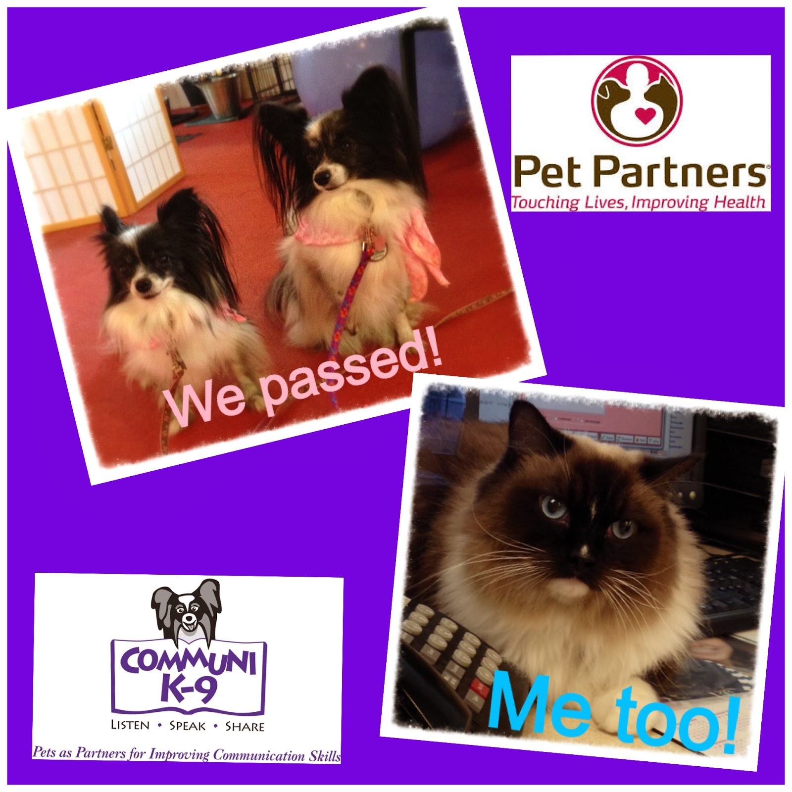 CommuniK9 Pet Partners