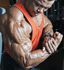 INdonesian Bodybuilding