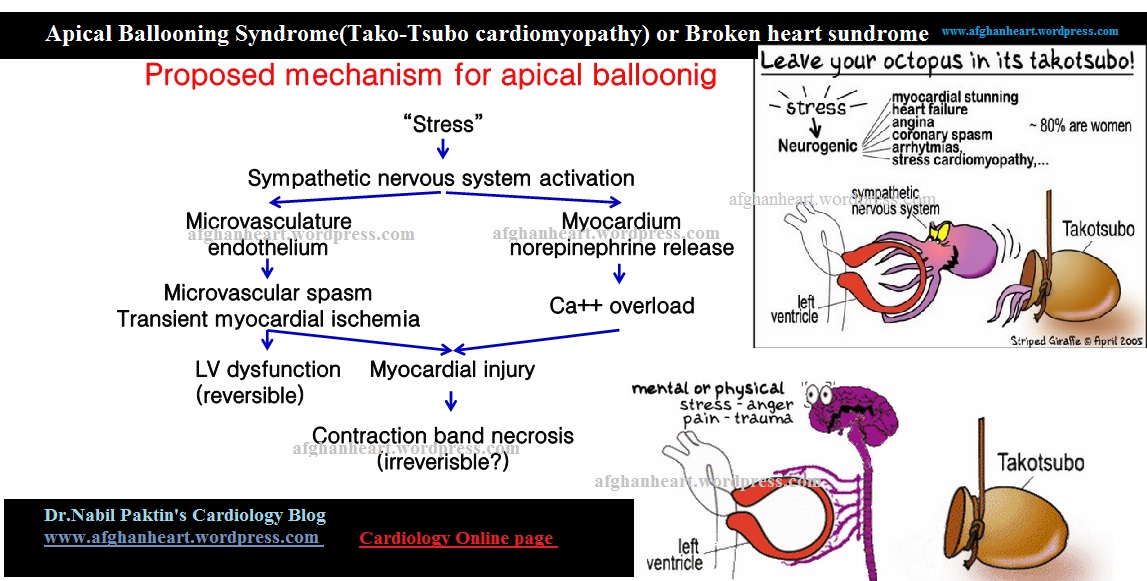 Dr.Nabil Paktin's Cardiology Blog مجله کاردیولوژی دکتور نبــیل پاکطـین