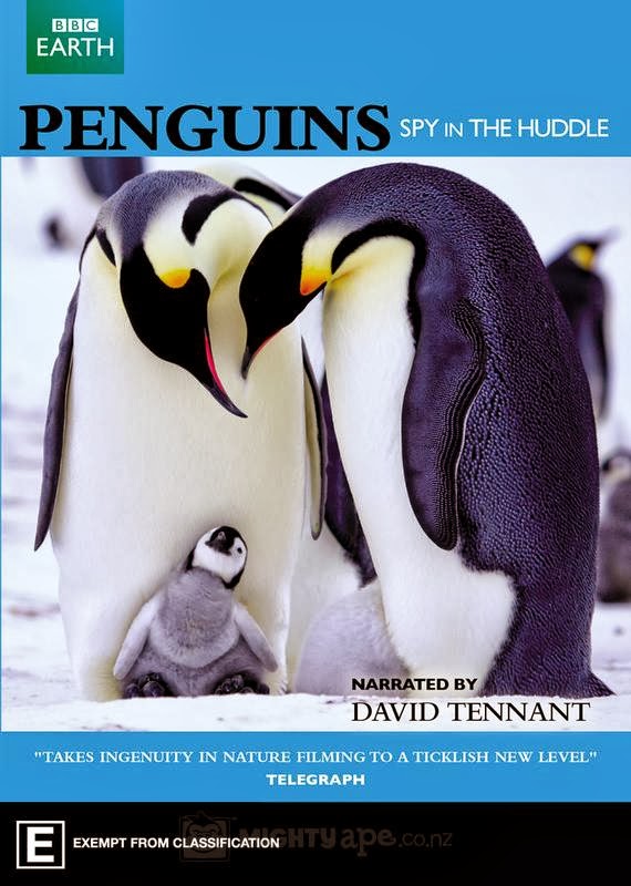 AUSTRALIA: Penguins: Spy In The Huddle Released On DVD In October