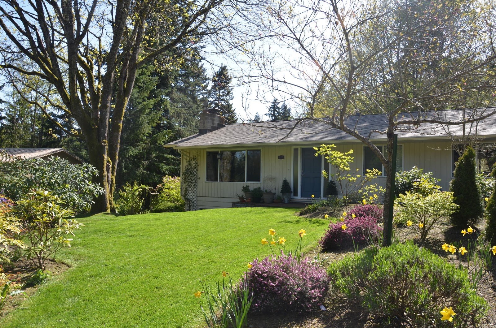 Our home on Bainbridge Island