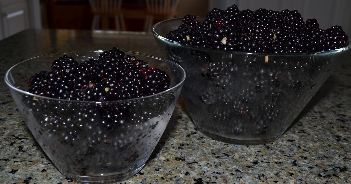 Long Sleeves in a Short Person World Blackberry Freezer Jam Jewels