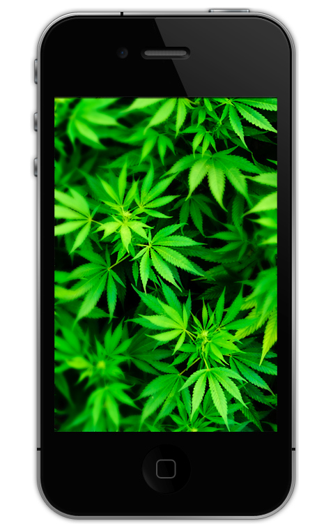 Weed HD Wallpaper for iPhone 4