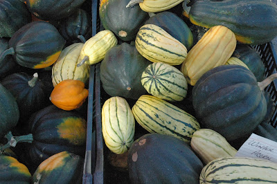 squash varieties squash varieties