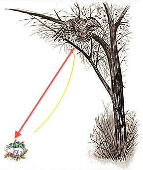 Pretty Curve With Mathematics: Cycloid