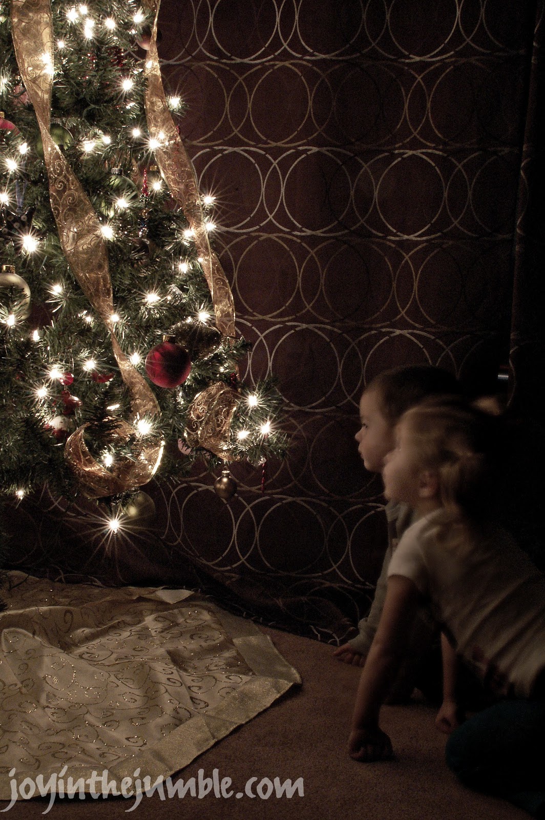 Download Www. Video  Bokeh Internet Gif