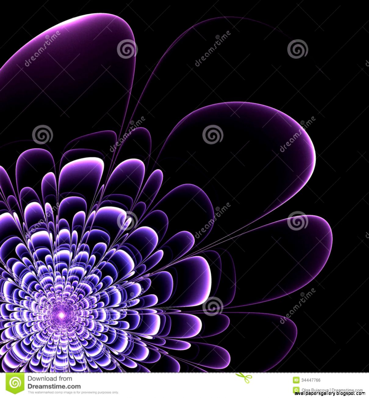 Beautiful Purple Flower On Black Background Royalty Free Stock Beautiful Purple Flower On Black Background Royalty Free Stock