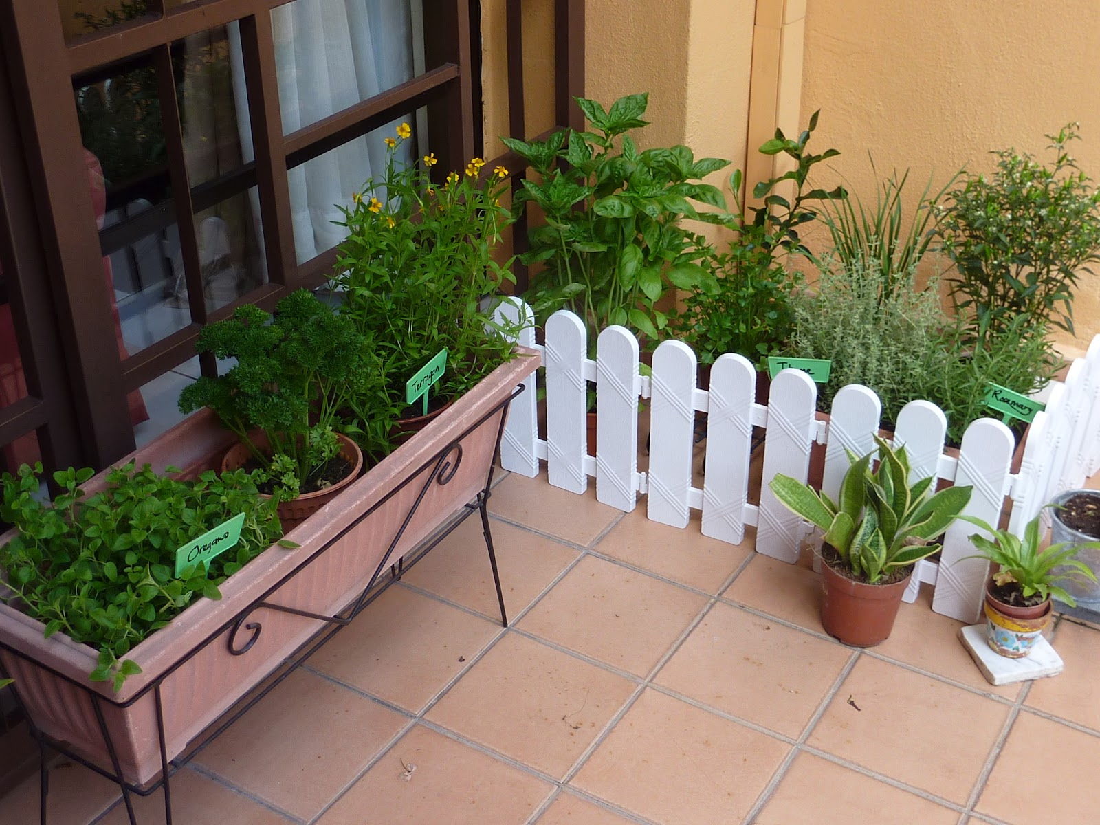 treasure memories: My Little Herbs Garden