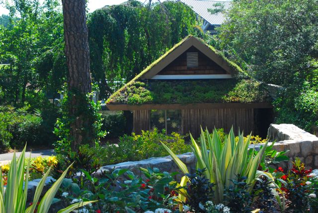 A "green roof" was installed on this information hut. A "green roof" was installed on this information hut.