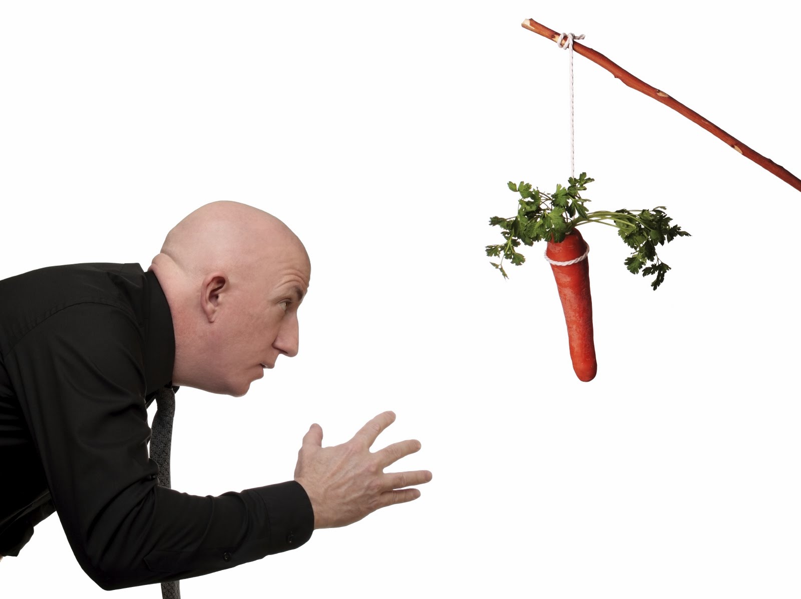 image: carrot stick image: carrot stick